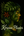 Korean Planter - Home