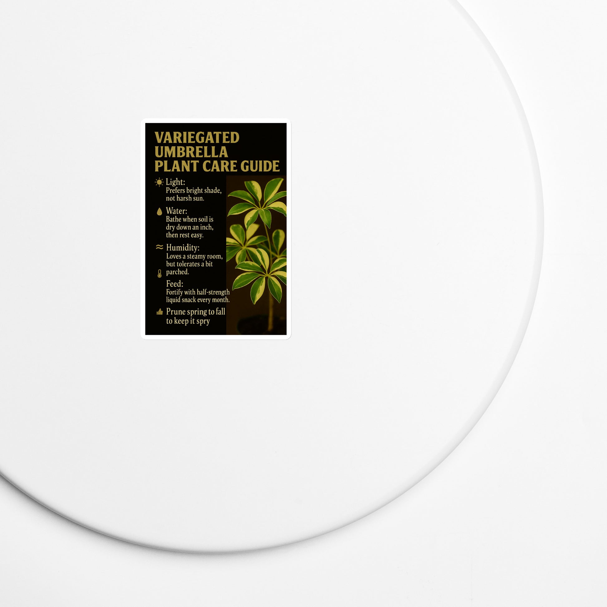 Product mockup
