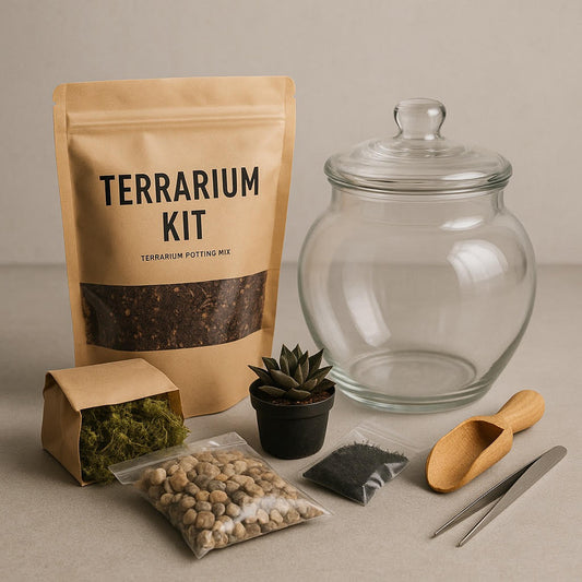 Terrarium Kit (DIY)
